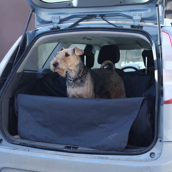 автогамак для перевозки собак в автомобиле