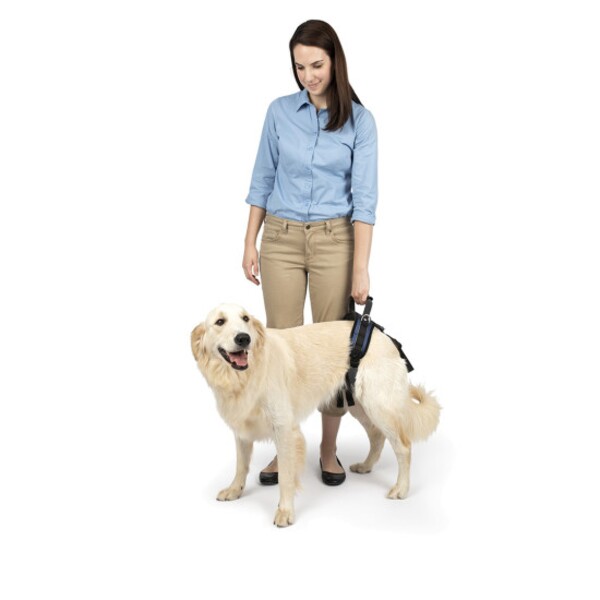 Пояс-шлейка (ходунки) для пожилых, травмированных собак PetSafe SOLVIT CareLift