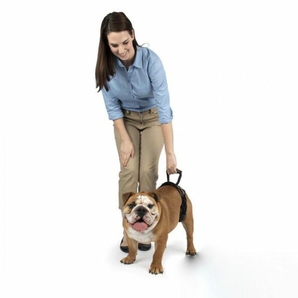 Пояс-шлейка (ходунки) для пожилых, травмированных собак PetSafe SOLVIT CareLift