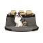 Chehol-PetSafe-Solvit-grey-Premium