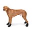 Durable-Boot-Black-Large-Dog-Ultra-Paws