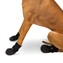Durable-Boot-Black-Large-Dog-Ultrapaws