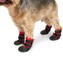 Durable-Boot-Red-Small-Dog-UltraPaws