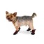 Durable-Boot-Red-Small-Dog