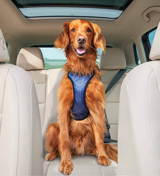 Автомобильная шлейка для собак PetSafe Happy Ride SOLVIT Deluxe