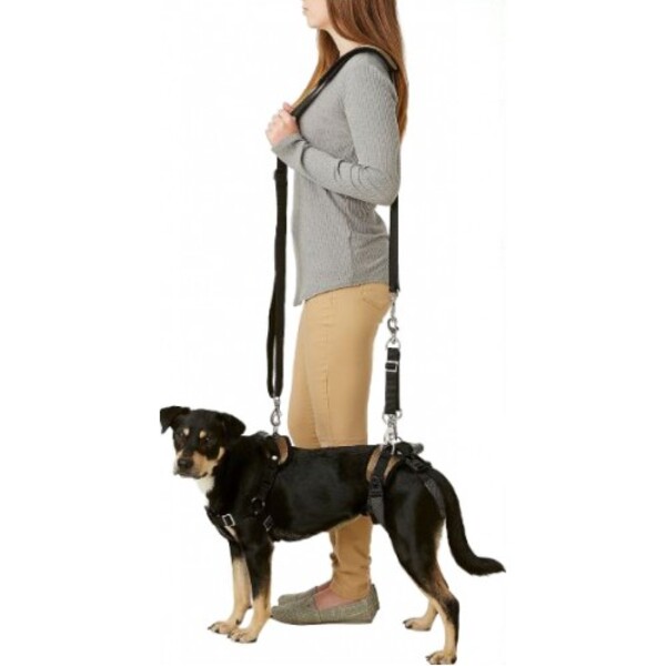 Шлейка (ходунки) для пожилых, травмированных собак PetSafe SOLVIT CareLift