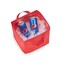 Bag-for-Ice-TrendBy